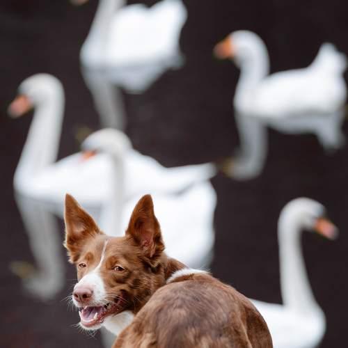 Фотография #9707496