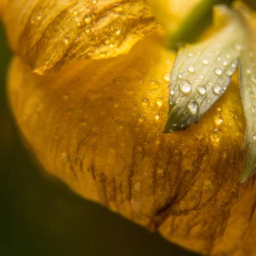 Photo #9707644