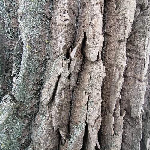Photo #9707679