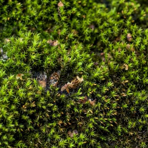 Photo #9707903