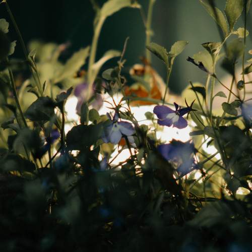 Photo #9708022