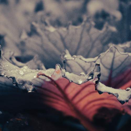 Photo #9708023