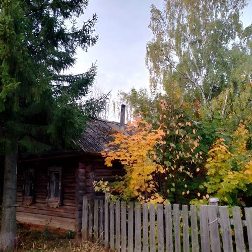 Photo #9708050