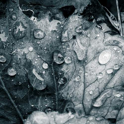 Photo #9708160