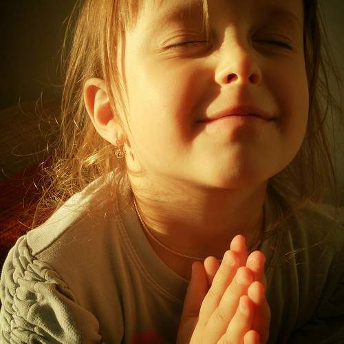 Photo #9708282