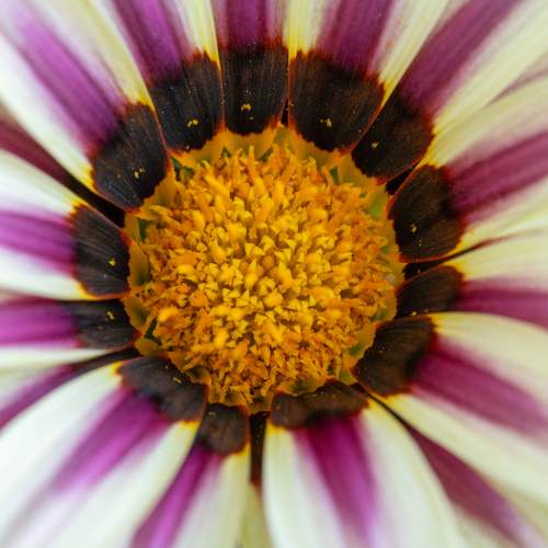 Фотография #9708492