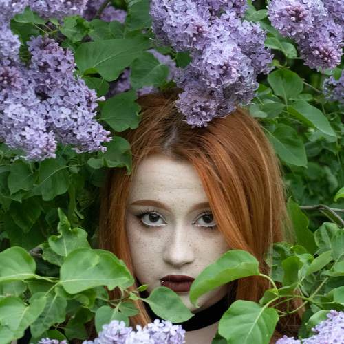 Photo #9708794