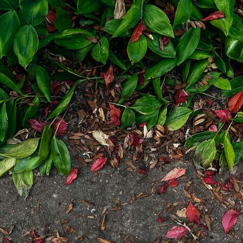 Photo #9709050
