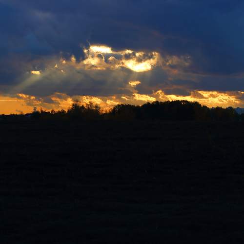Photo #9709076