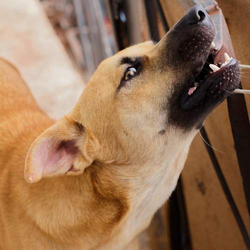Photo #9709343