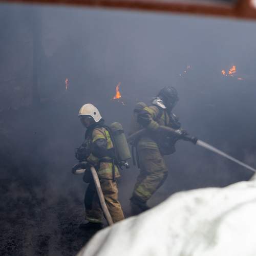 Photo #9709415