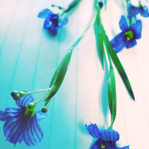 Photo #9709425
