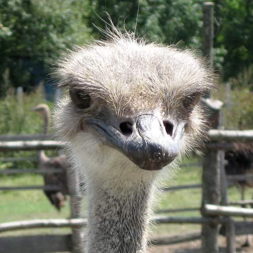 Photo #9709598