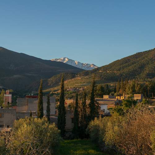Photo #9709772