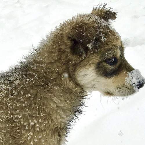 Photo #9710024