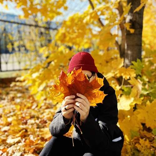 Photo #9710061