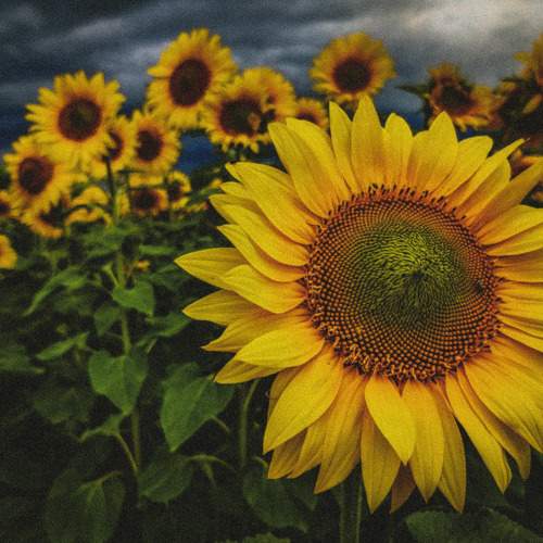 Photo #9710222