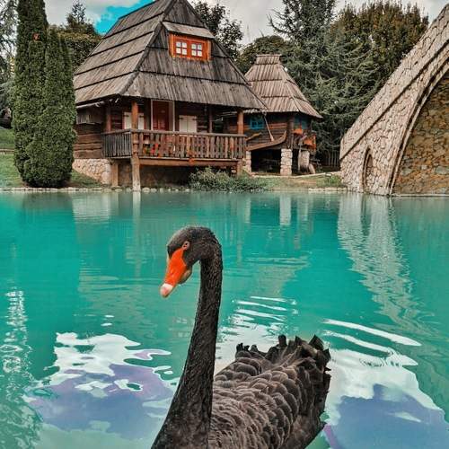 Photo #9710432