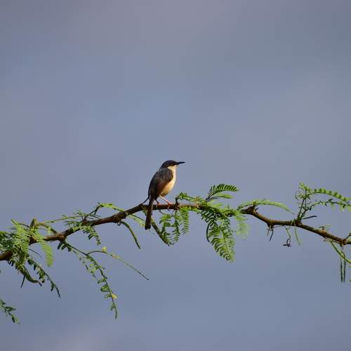 Photo #9710457