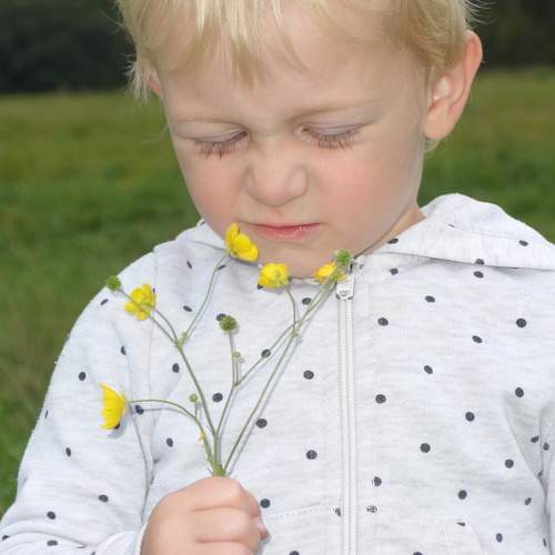 Photo #9710810
