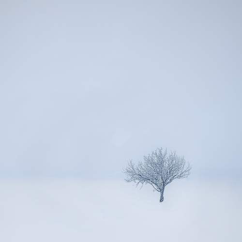 Photo #9711024