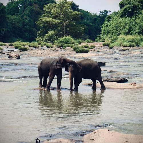 Photo #9711160