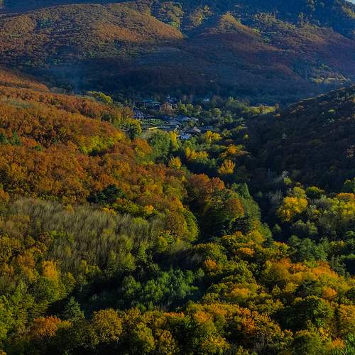 Photo #9711177
