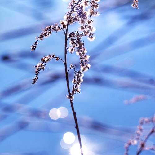 Photo #9711230