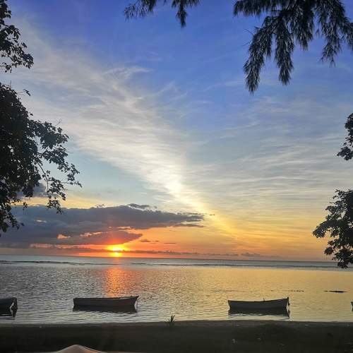 Photo #9711248