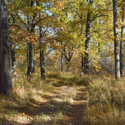 Photo #9711341