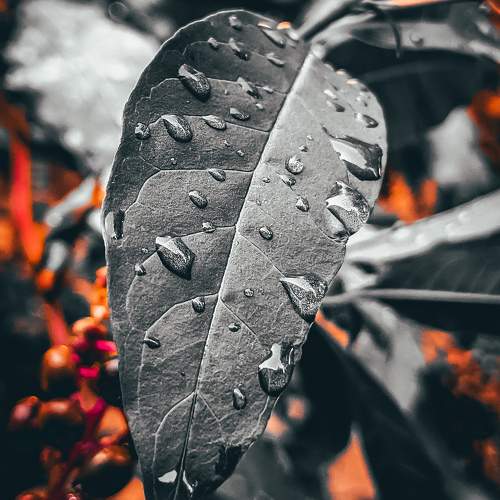 Photo #9711432