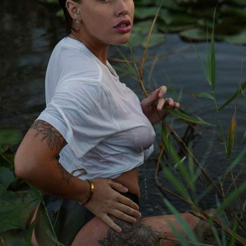 Photo #9711662