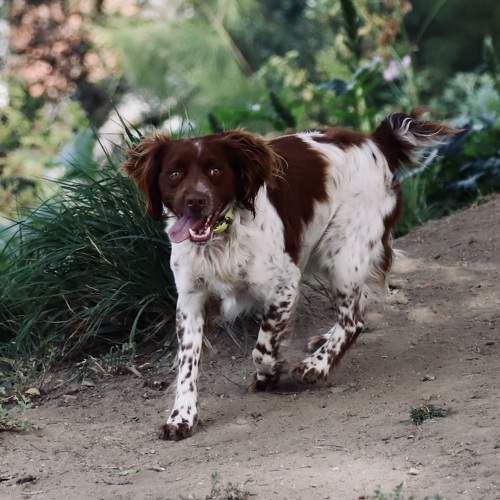 Photo #9711729