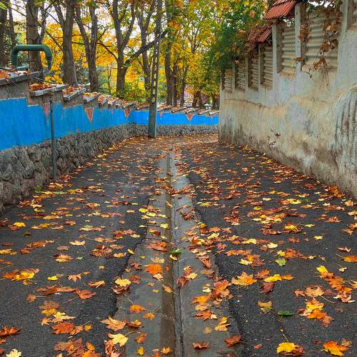 Photo #9711847