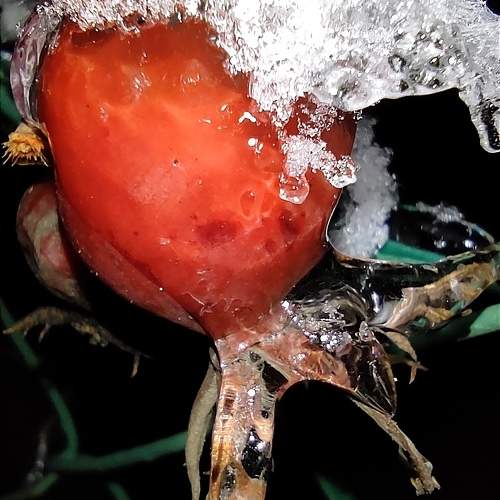 Photo #9711857