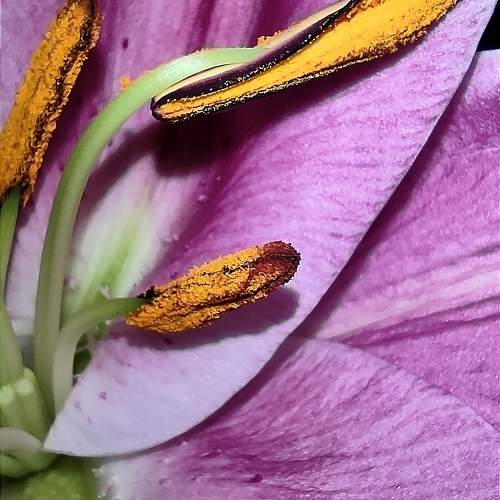 Photo #9711867
