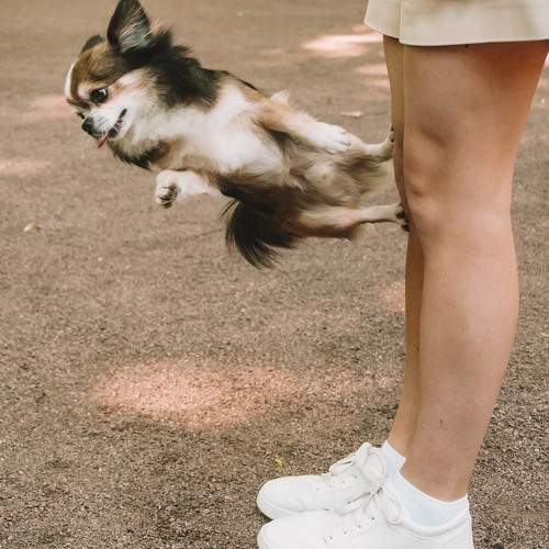 Photo #9711891