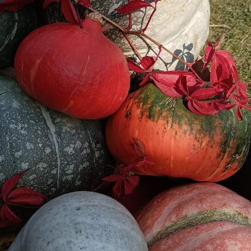 Photo #9711950