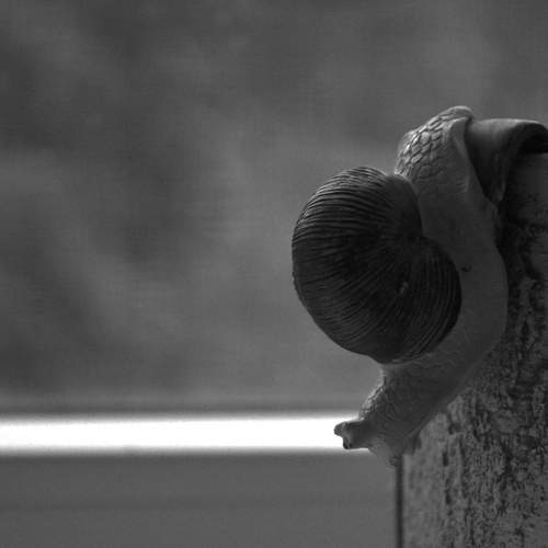 Photo #9712026