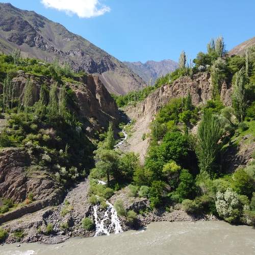 Photo #9712031