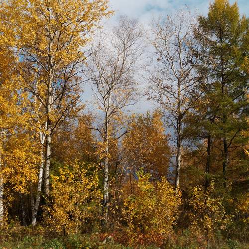 Photo #9712160
