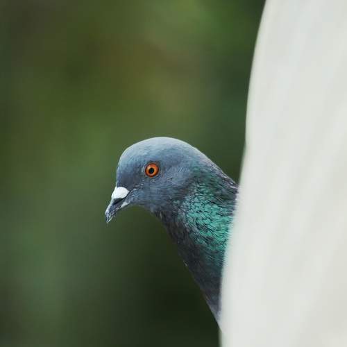 Photo #9712263