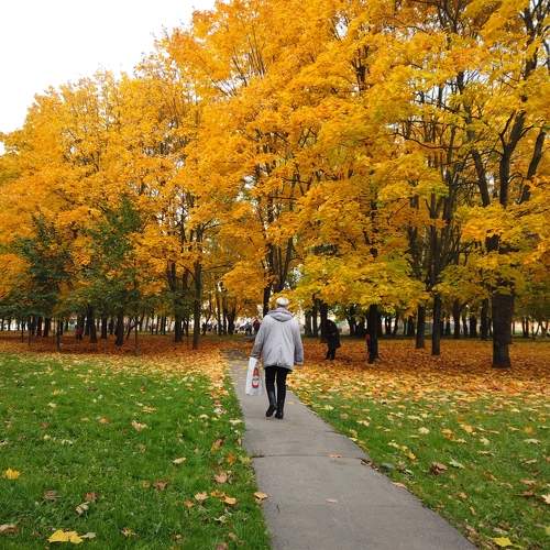 Photo #9712297