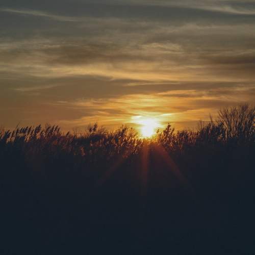 Photo #9712306
