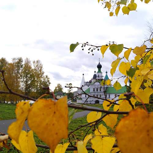 Photo #9712410