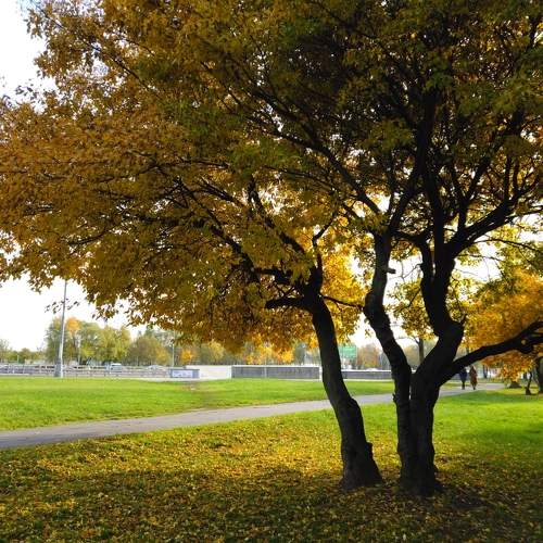 Photo #9712507