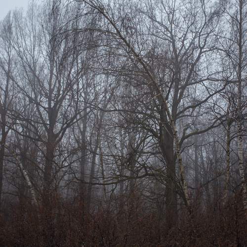 Photo #9712569