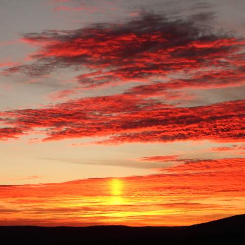 Photo #9712587