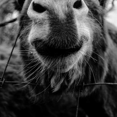 Photo #9712610