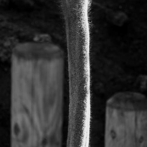 Photo #9712648